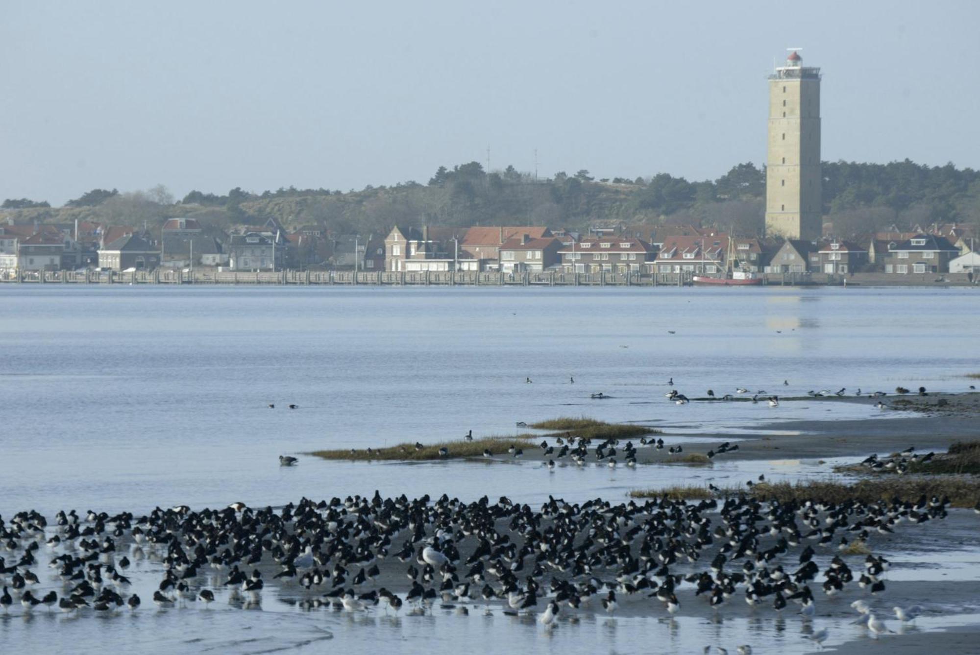 Stayokay Hostel Terschelling فيست تيرشخيلينج المظهر الخارجي الصورة